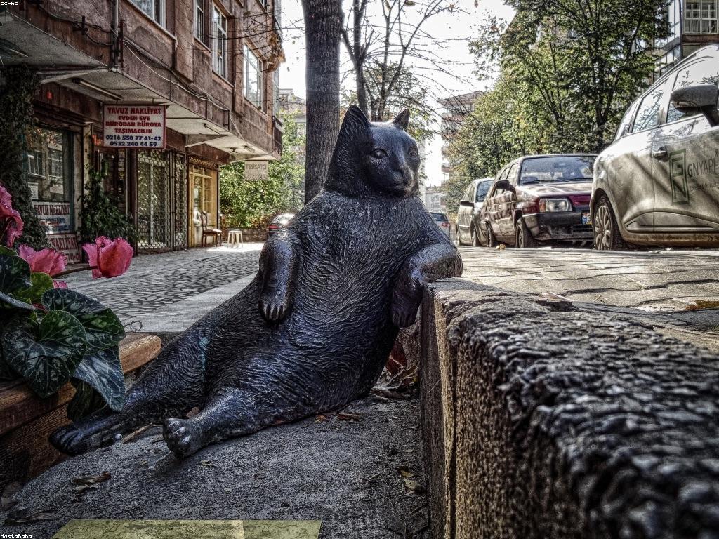 ដំណឹងថ្មីសម្រាប់ការពេញនិយម